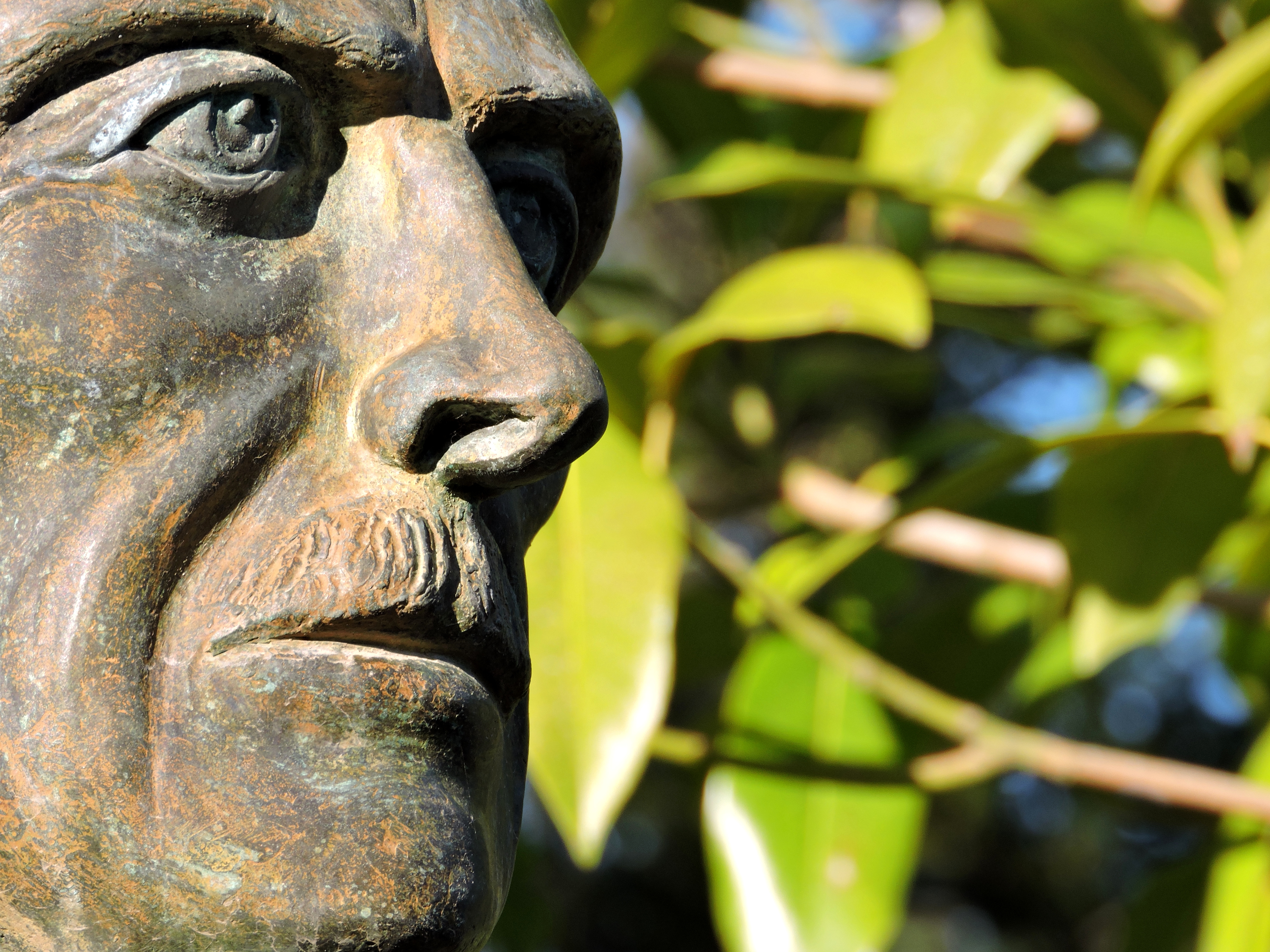 Marullo in bronzo